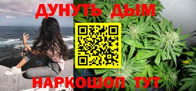 гашик Моздок
