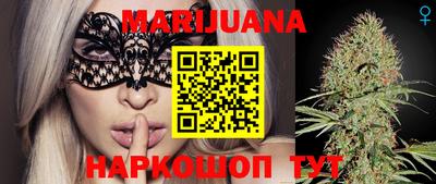 гашик Моздок