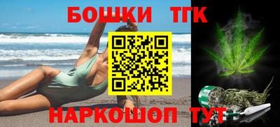 гашик Моздок