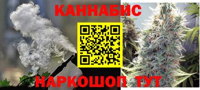 гашик Моздок