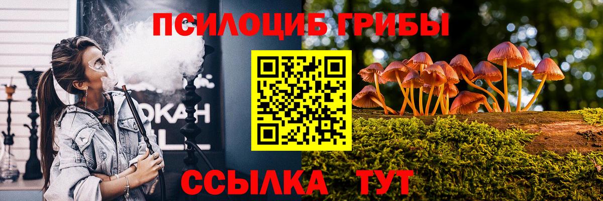 Галлюциногенные грибы GOLDEN TEACHER Ревда